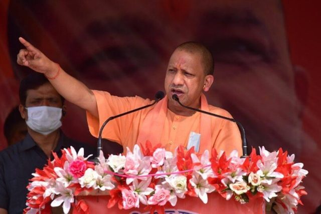yogi